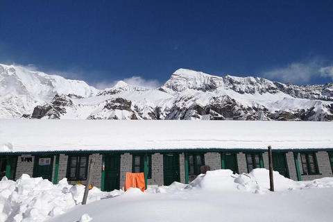 Från Kathmandu: 7 dagars Annapurna Base Camp Himalayan Trek