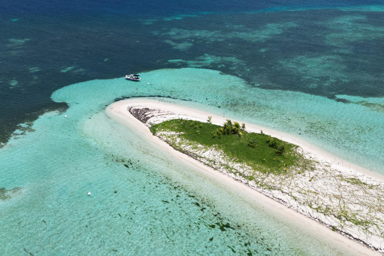 Guadeloupe: Magical half-day boat trip: mangrove, islet, snorkeling. Guadeloupe: Magical 1/2-day boat trip: mangrove, islet, snorkeling.
