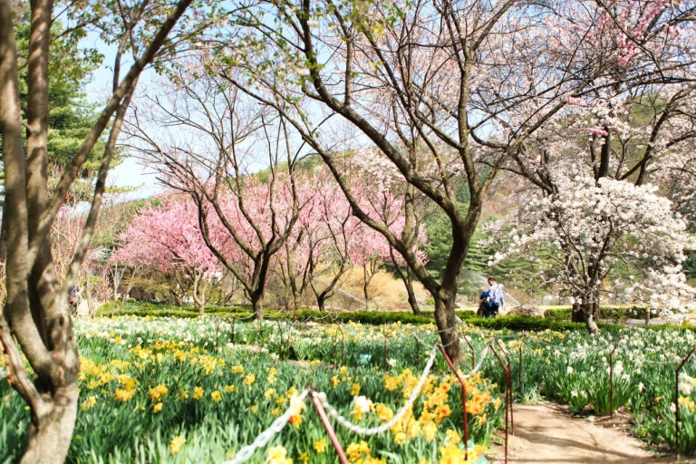 Depuis Séoul : Namiseom, Jardin du matin calme et vélorailDepuis l'université de Hongik Station : Namiseom et Jardin
