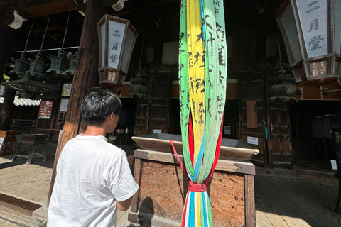 Nara: il Grande Buddha di Todai-ji e tutti i suoi tesori in 2 ore