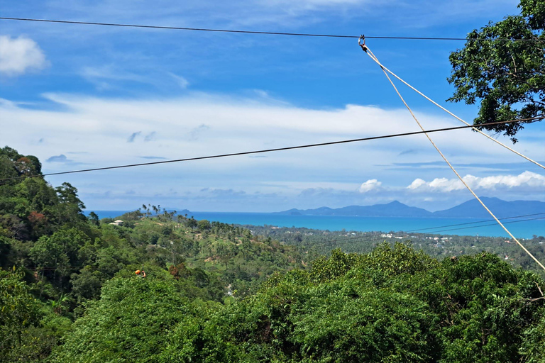 From Koh Samui: Tree Bridge Zipline and Café Experience