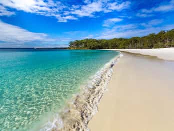 From Sydney: Port Stephens Day Trip