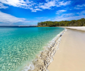 From Sydney: Port Stephens Day Trip