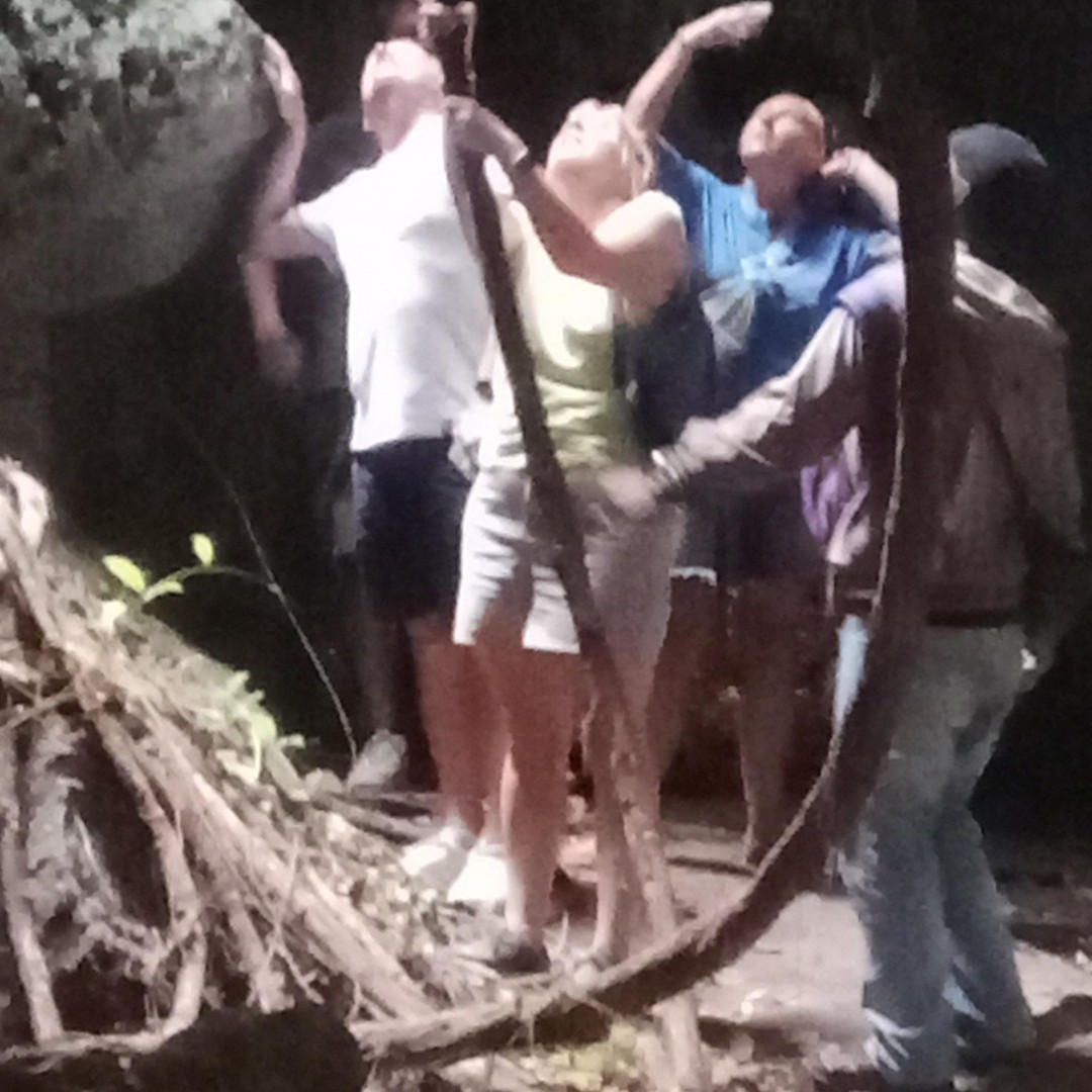 Colagem de mídia