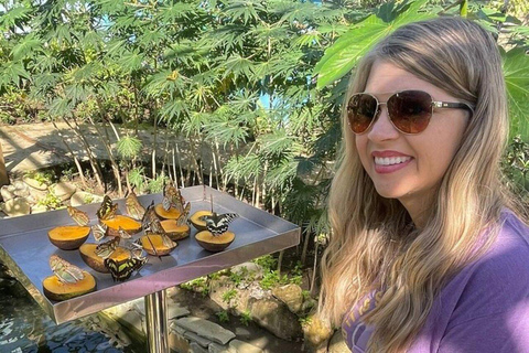 Zanzibar: małpy Jozani, ogród motyli i park gadówTransfer nie jest wliczony w cenę, a opłaty za wstęp pokrywacie sami.