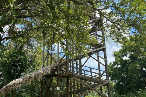 Private Puerto Plata Canopy Zipline Experience