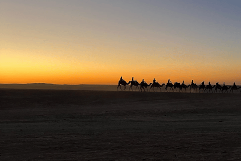 Agafay-woestijn Hoogtepunten: quad, kameel en diner