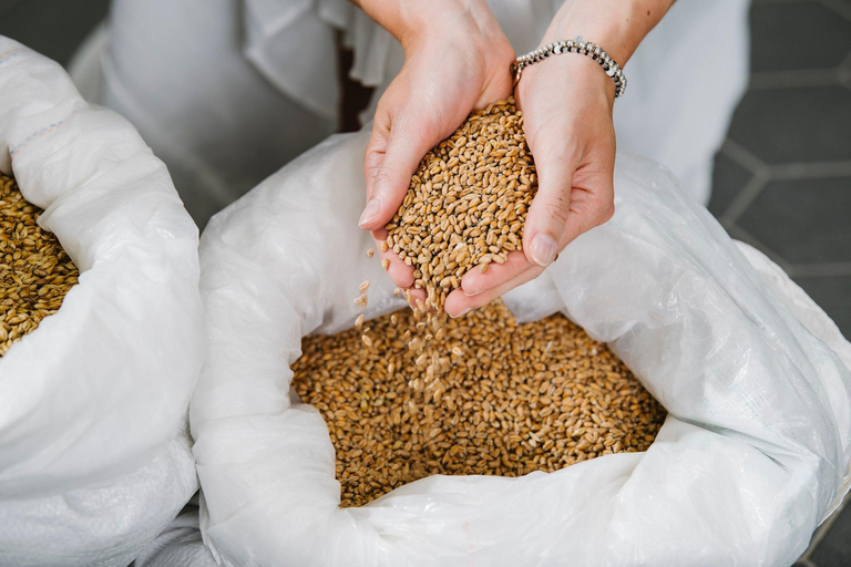 Monaco di Baviera: esperienza in birrificio con birra e cibo regionale