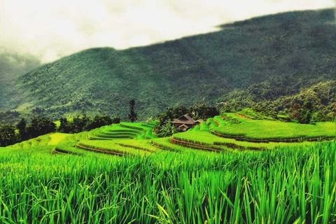 From Hanoi: Visit Sapa 3 Days & See The Terraced Fields Group Tour With A 4-Star Hotel