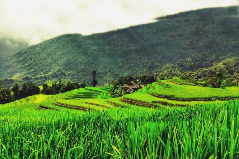 From Hanoi: Visit Sapa 3 Days & See The Terraced Fields Group Tour With A 4-Star Hotel