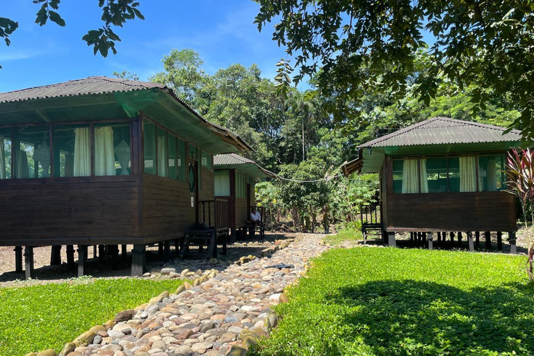 Da Cusco: 5 giorni di esplorazione e connessione nella Zona Riservata del ManuDa Cusco: 5 giorni di esplorazione e connessione nella Zona Riservata di Manu