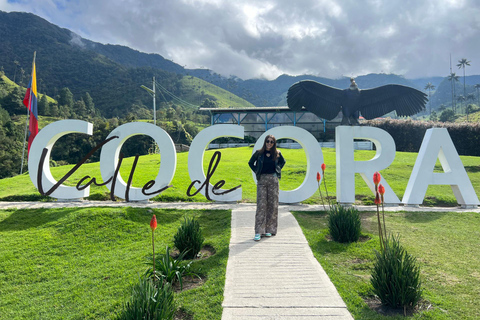 From Salento: Cocora Valley Shared Tour