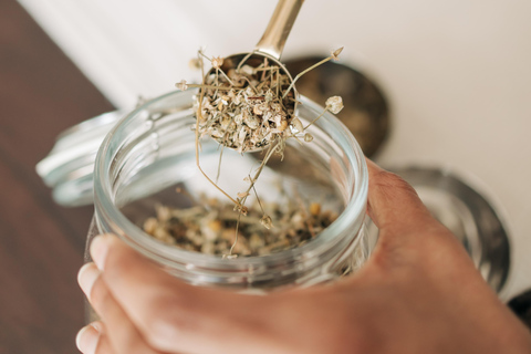 Herbal Ritual in a Hidden São Paulo Plant Studio