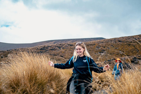 فيوردلاند وميلفورد ساوند: مغامرة المشي لمسافة 4 أيامFiordland &amp; Milford Sound: 4-Day Hiking Adventure