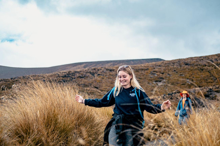 فيوردلاند وميلفورد ساوند: مغامرة المشي لمسافة 4 أيامFiordland &amp; Milford Sound: 4-Day Hiking Adventure