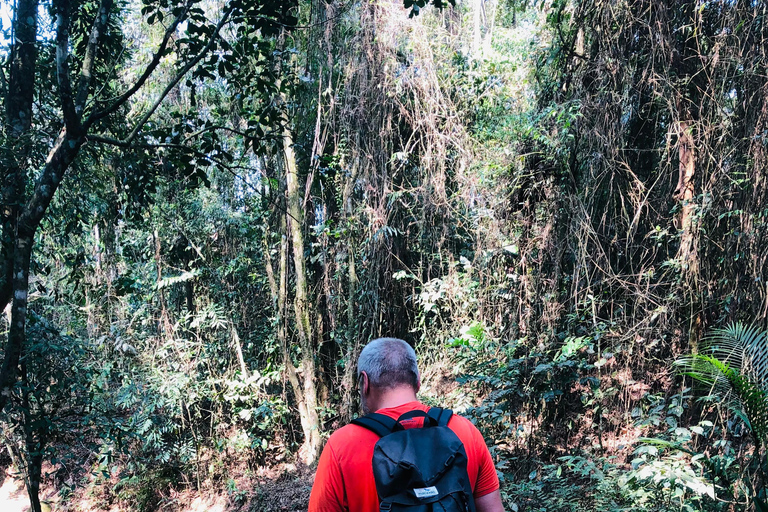 Paraty waterfalls and distilleries Jeep tour Paraty waterfalls and distilleries jeep tour