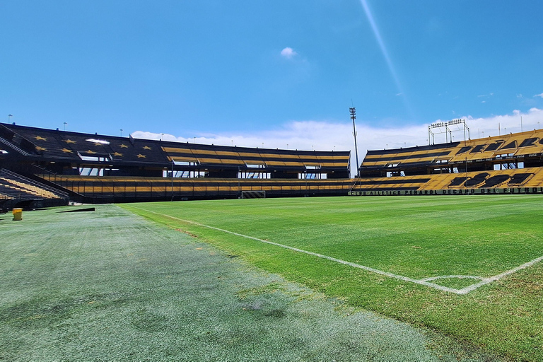 Montevideo: Peñarol Stadium, Museum, and Arena Tour