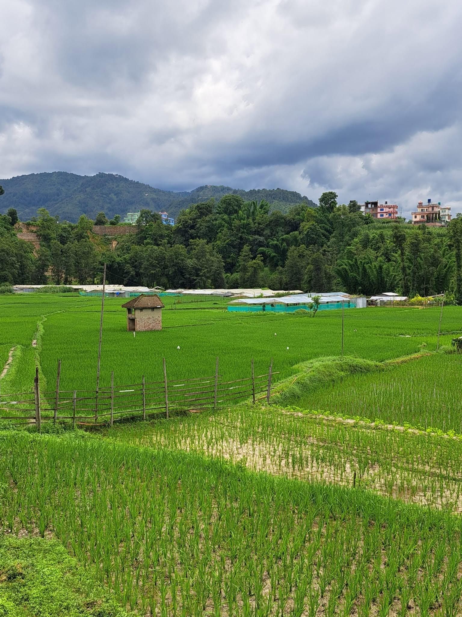 Bhaktapur: Geführte Wanderung zum Changunarayan-Tempel mit Transfer