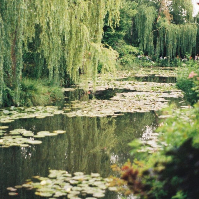 Giverny: Monets Haus Und Gärten Private Tour Ab Paris | GetYourGuide