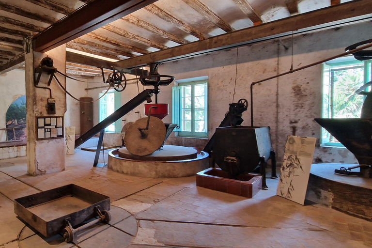 Da Salou: Parco Samá con degustazione di 1 vermouth, servizio di prelievo in hotelDa Salou: Park Samá con 1 degustazione di vermouth, servizio di prelievo in hotel