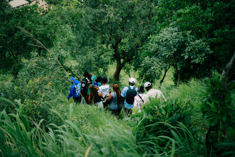 4-Day Bwindi Gorilla Trekking Experience
