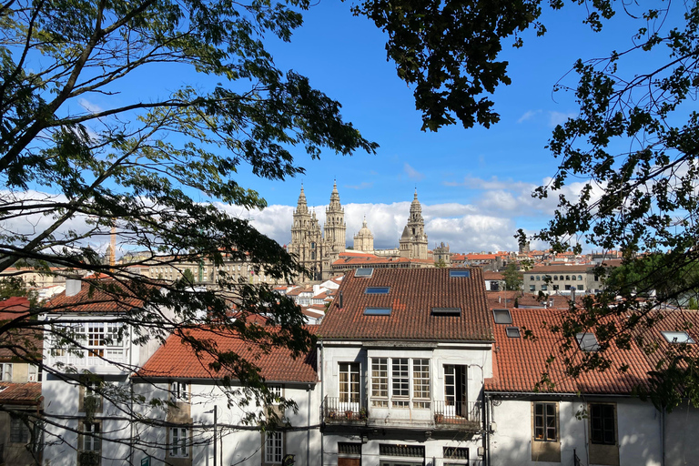 Santiago de Compostela: guided urban tours Santiago de Compostela: guided city tours
