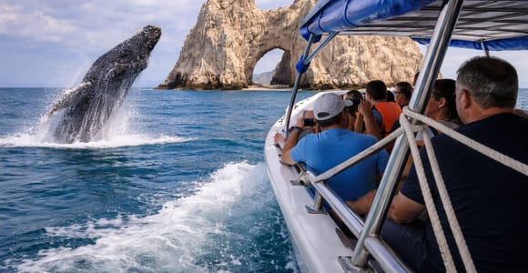 Cabo San Lucas Tour | Arch, Lover’s Beach & Whale Watching