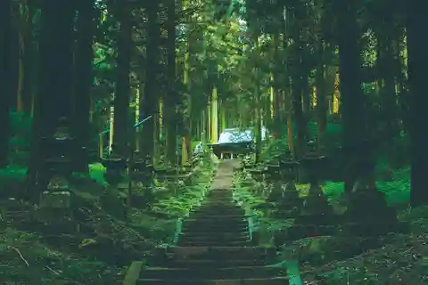 Kyushu: Kamisiki Mikumano Shrine & Takachiho Gorge Day Tour
