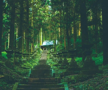Kyushu: Excursão de um dia ao Santuário Kamisiki Mikumano e ao Desfiladeiro Takachiho