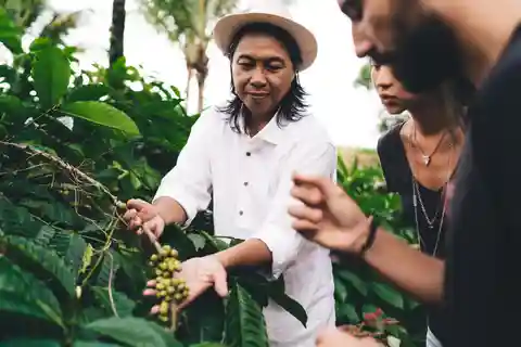 Bogotá: Visita a uma fazenda de café com almoço incluído