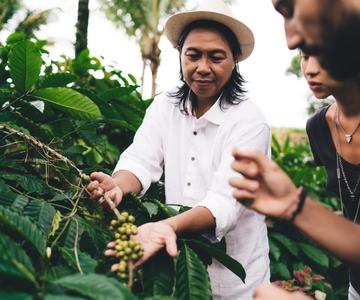 Bogotá: Visit to a Coffee Farm with lunch included