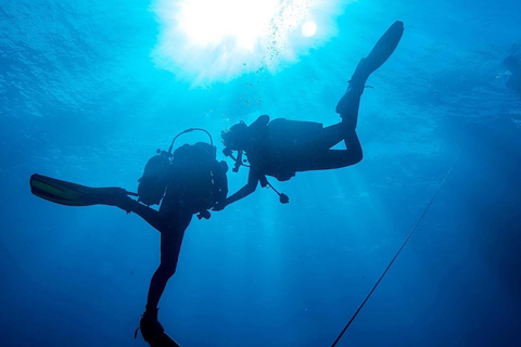 Zakynthos: Scuba Diving Experience with Underwater Photos Double dive discover scuba diving course