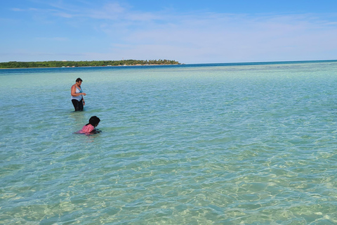 Buccoo Reef and Nylon Pool Adventure