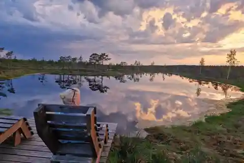 Jurmala: Kemeri National Park Sunset Trip