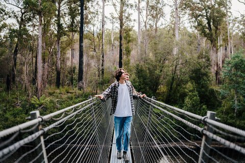 Huon Valley: Tahune Adventures Airwalk Site Entry Ticket