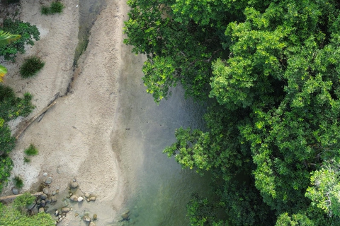 Private Great Barrier Reef and Mossman Gorge Tour