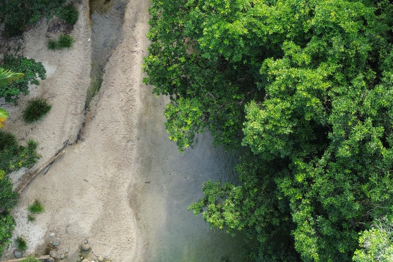 Private Great Barrier Reef and Mossman Gorge Tour