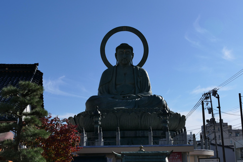 Takaoka: Mama-chari bike tour with Guide