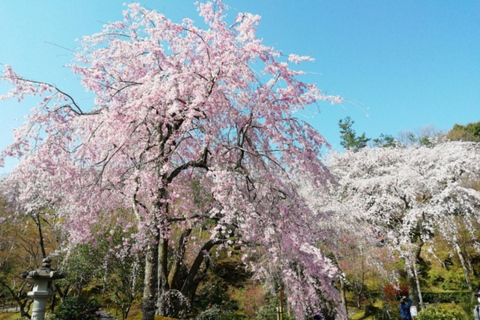 Kyoto: Arashiyama UNESCO Walking Tour with Admission