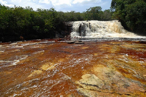 Manaus: Day trip to Presidente Figueiredo Waterfalls