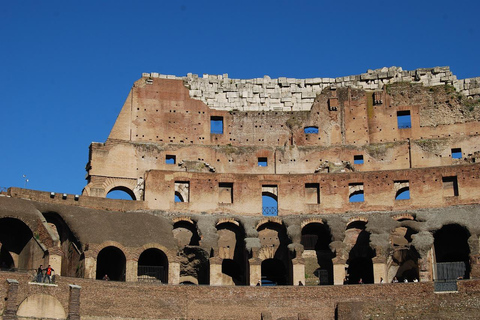 Rom: Colosseum Colosseum, Forum Romanum, Palatinkullen Guidad tur