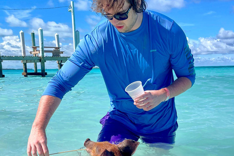 Nassau ATV &amp; Swimming Pigs Tour