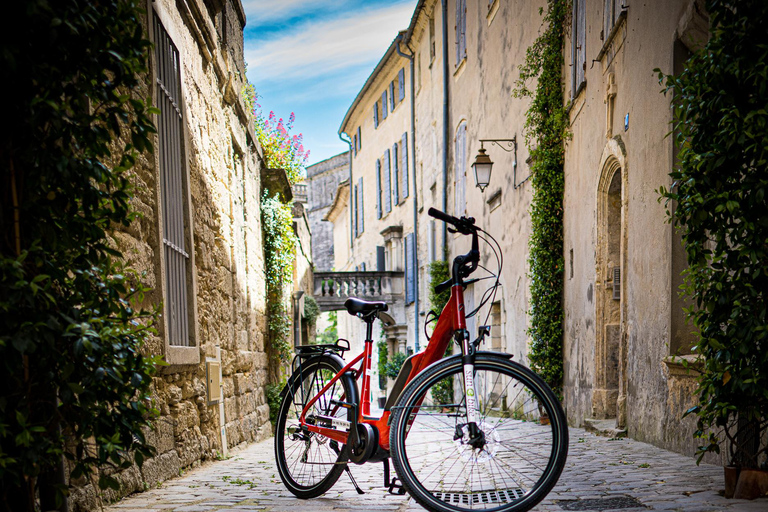 Provence : Randonnée en E-Bike avec dégustation de vins