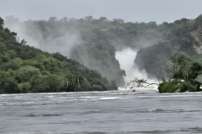Uganda: 3-Day Murchison Falls & Kibale Chimpanzee Trekking