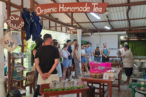 Ella: Organic Tea Plantation Tour with Tea Making & Tasting
