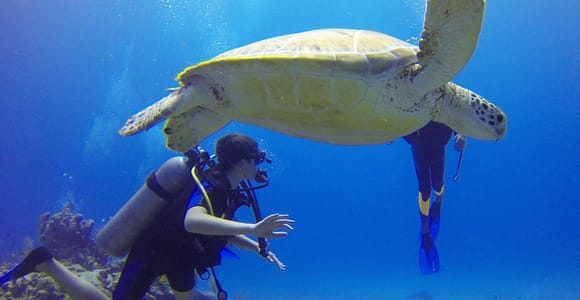 Scuba diving in Faliraki & Kolymbia Beginners & small Groups