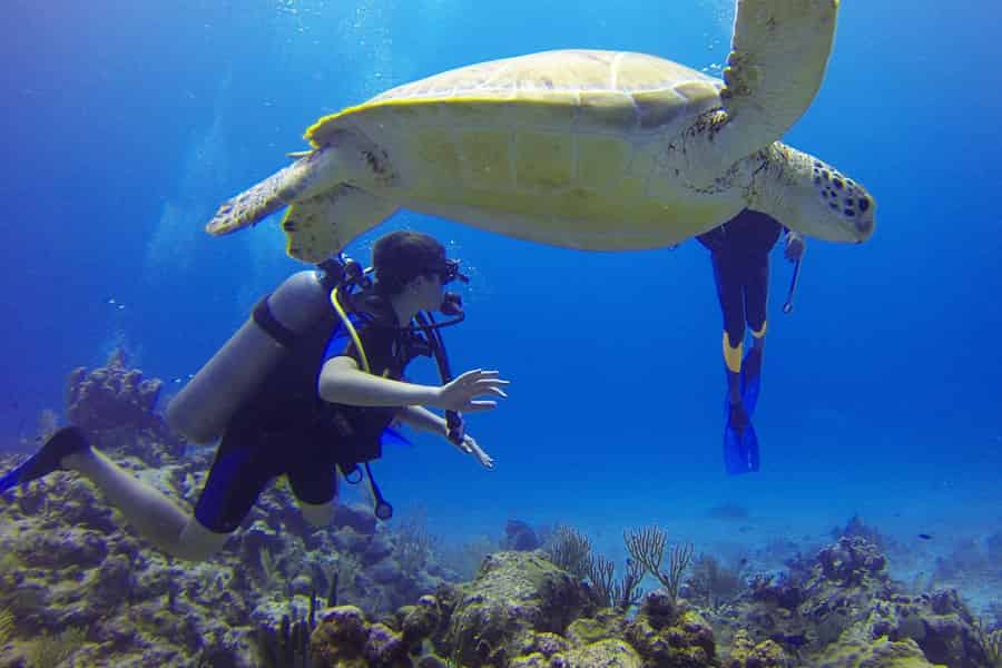 Tauchen in Faliraki & Kolymbia: Anfänger & kleine Gruppen. Foto: GetYourGuide Tauchen in Faliraki & Kolymbia: Anfänger & kleine Gruppen. Foto: GetYourGuide