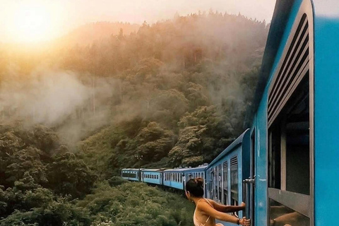 Kandy: Nuwara Eliya, Ambewela Drop Tour & Ella Train journey Kandy: Nuwara Eliya, Ambewela Drop Tour by car or van
