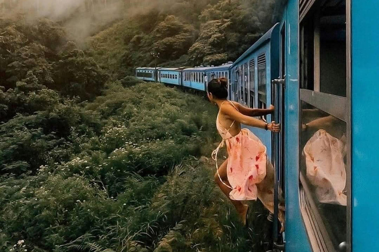 Kandy: Nuwara Eliya, Ambewela Drop Tour & Ella Train journey Kandy: Nuwara Eliya, Ambewela Drop Tour by car or van