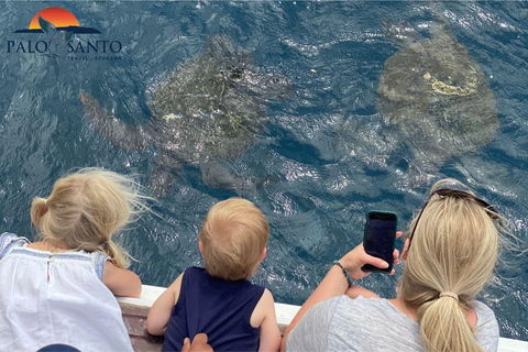 Puerto Lopez: Isla de la Plata: The Magic of the Mini Galapagos Waiting for You